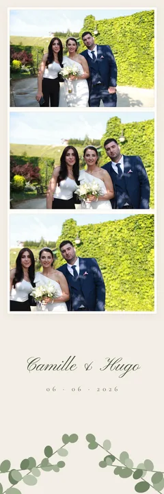 Bande photo du thème Eucalyptus